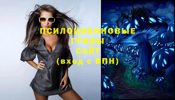 стафф Абинск